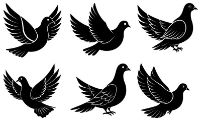 Fototapeta premium Dove Silhouette vector