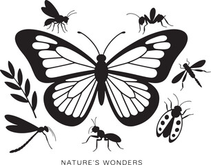 Nature's Wonders Black and White Illustration of Insects and Butterfly in Harmony