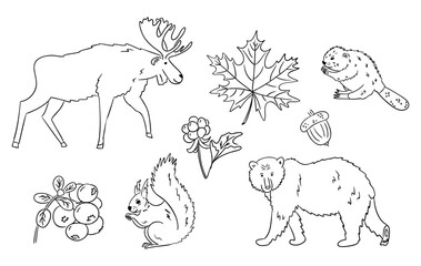 Wildlife and nature doodle set featuring moose, bear, beaver, squirrel and forest elements. Canadian forest animals and plants concept in hand drawn style