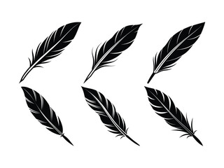 Elegant Black and White Feather Illustrations - Stylized Hand-Drawn Designs for Graphic