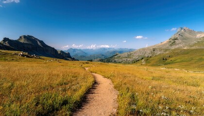 
winding dirt trail through alpine valley with golden grass and rugged peaks under clear blue sky for landscape print, web banner, travel blog, nature branding, or outdoor poster design

