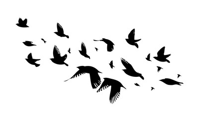 Flying birds silhouette flock. hand drawing. Not AI. Vector illustration.