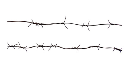 Barbed wire fence of sharp metal creates a dangerous security barrier