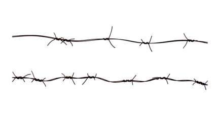 Barbed wire fence of sharp metal creates a dangerous security barrier