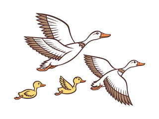 Illustration of Ducks in Flight, Stylized Artwork of Flying Ducks.