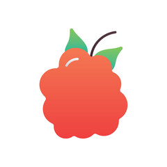 Raspberry Vector icon