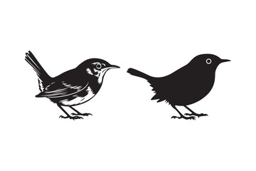 Two Small Bird Silhouette Vector