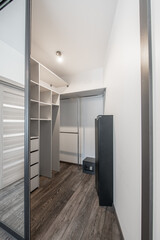 Modern Minimalist Closet Storage Room Interior with Organizational Shelving and Hardwood Flooring