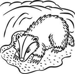 Obraz premium badger in vintage style, black and white illustration of forest animal with burrow