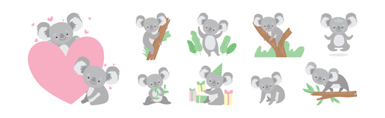 Adorable Koala Grey Animal in Various Actions Vector Set