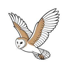 Majestic Barn Owl in Flight, vector