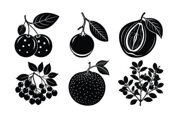 A vibrant vector set of fruits and berries icons features a sweet assortment including apples, strawberries, cherries, oranges, and black berries, perfect for healthy food illustrations