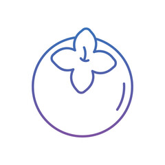 Persimmon Vector icon