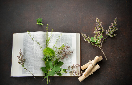 Book open with flower on it 