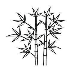 bamboo vector illustration