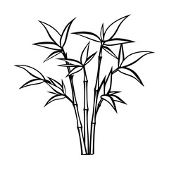 Obraz premium bamboo vector illustration
