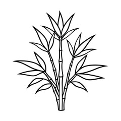 Obraz premium bamboo