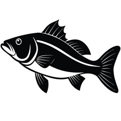 fish vector illustration