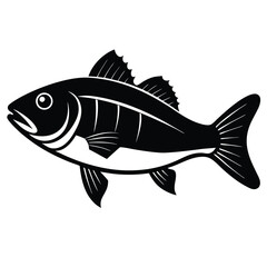 fish isolated on white background