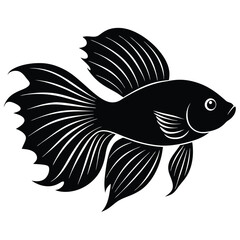 fish vector illustration