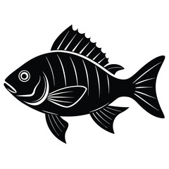 vector illustration of a fish