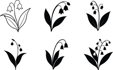 lily of the Valley silhouette in white background
