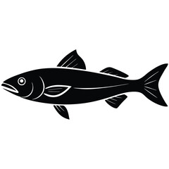 fish on a white background