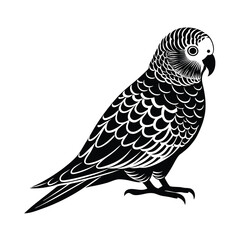 budgerigar parrot silhouette black vector