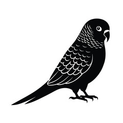 budgerigar parrot silhouette black vector