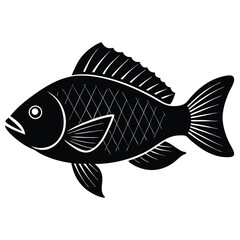 fish on a white background