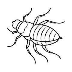fruit fly outline on white background