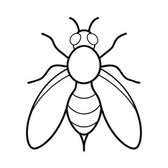 fruit fly outline on white background