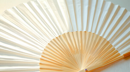 Isolated white folding hand fan   A562E
