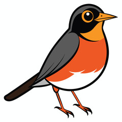 Colorful cartoon robin stands tall with orange chest and detailed plumage on a white backdrop