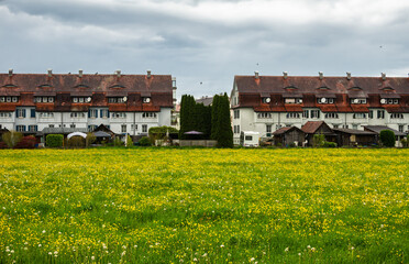 Traditional houses amidst a field with yellow flowers, overcast weather