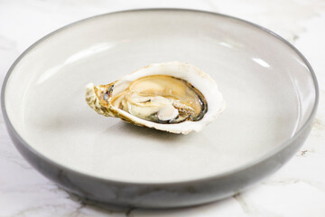 Oyster
