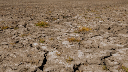An English fallow field after the driest spring on record left the soil parched and dry with deep cracks