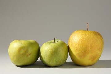 Damaged green apples on light grey background. Space for text