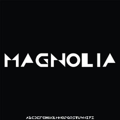 Elegant high contrast serif display font vector