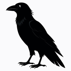 black crow silhouette icon on white background