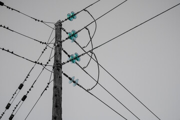 Sky Landlines
