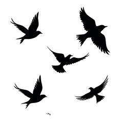 set of silhouettes of birds isolated on white background