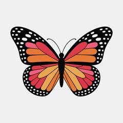 Fototapeta premium Vibrant orange and pink butterfly illustration