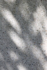 Shadows dance on textured vertical gray backdrop of polished concrete with small stones under bright sunlight on a warm day