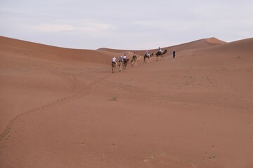 Caravan with camels and tourists on Sahara desert, Morocco