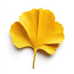 Naklejka premium Yellow Maple Leaf