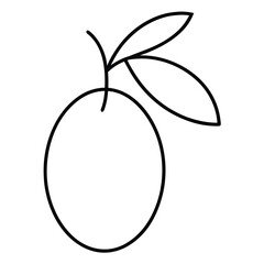 vector illustration of a fruits