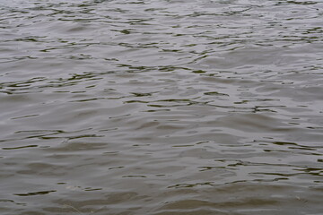 Gray surface of a lake with waves on a cloudy day