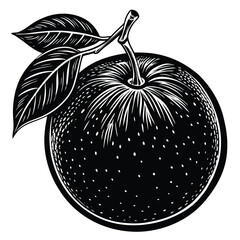 vector illustration of an apple
