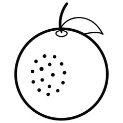 vector illustration of a fruits